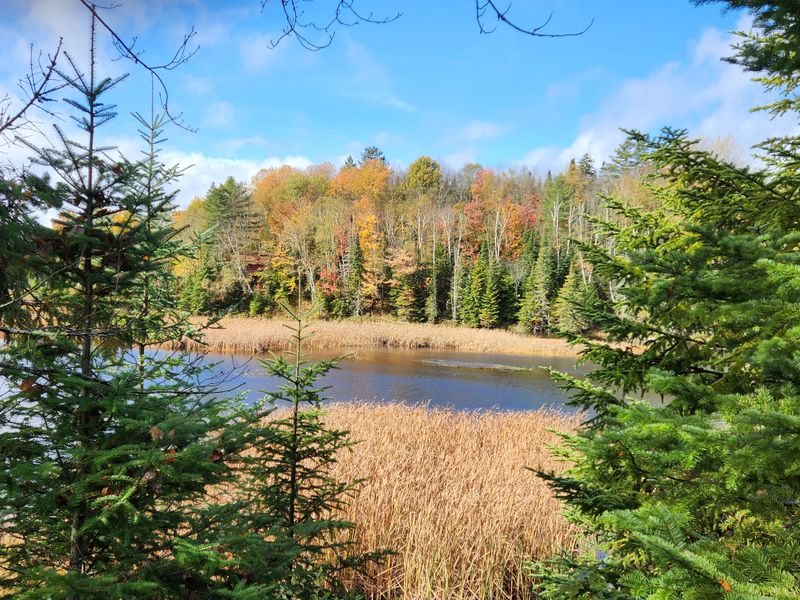 Finding Your Rhythm On The Old Railbed