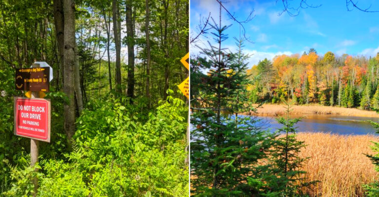 This Adirondack New York State Trail With Boardwalks And Occasional Black Bear Sightings Is An Adventure Worth Taking