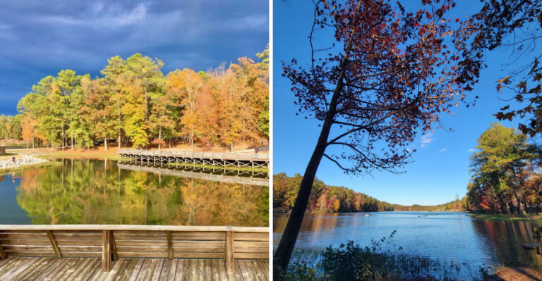 This Alabama State Park Is One Of The State’s Most Photogenic Places