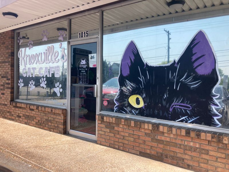 Finding Scruffy's On North Broadway