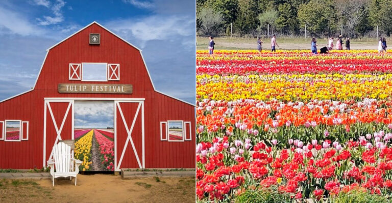 This Charming Flower Farm In New York Bursts With Spring Color This Year