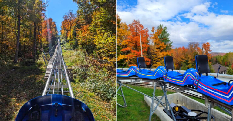 This Exhilarating Mountain Coaster In New York Will Bring Out The Thrill Seeker In You In 2026