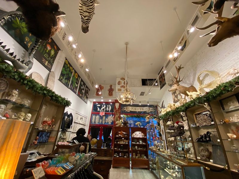 A Shop That Defies Every Expectation You Have About Gift Stores