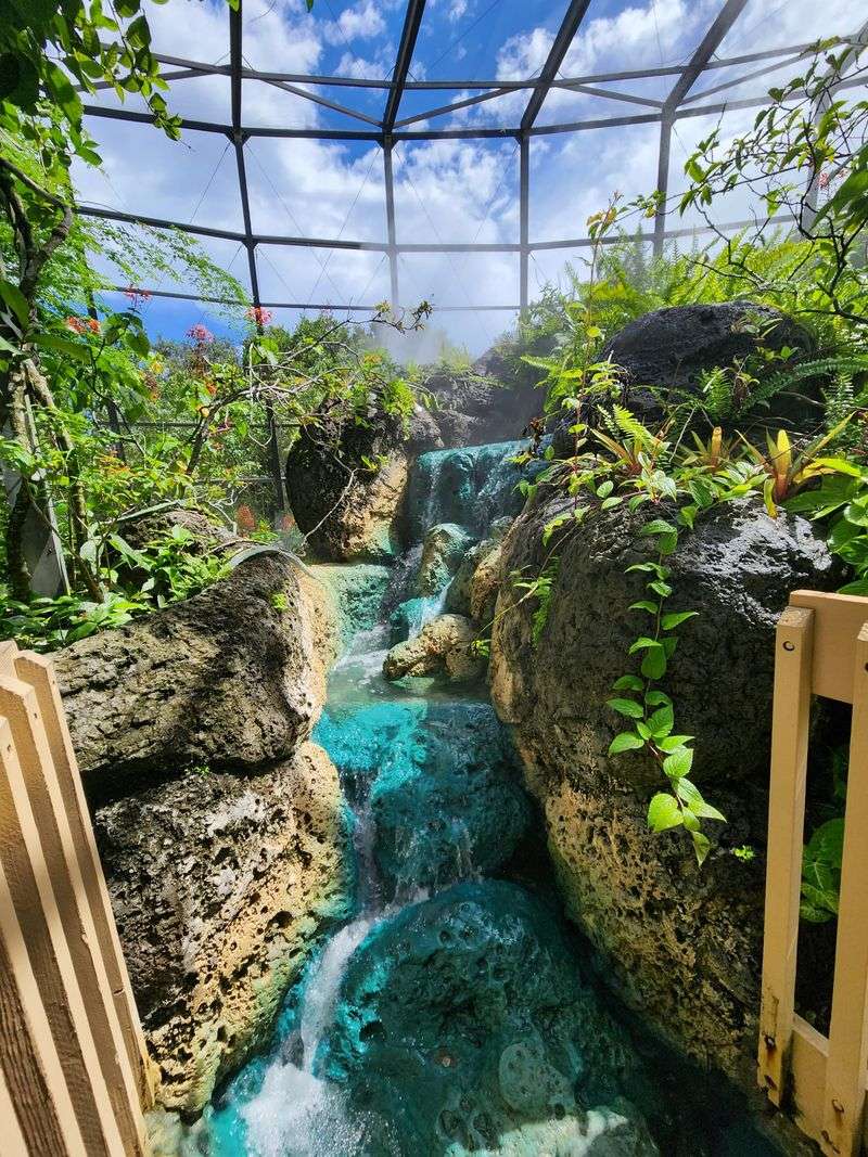 Home To The Largest Butterfly Park In The Western Hemisphere