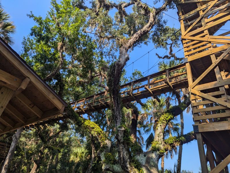Home To North America's First Public Canopy Walkway