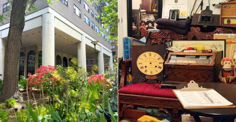 This Kitsch Oddities Museum In New York Is A Dream Come True For All Curious Visitors