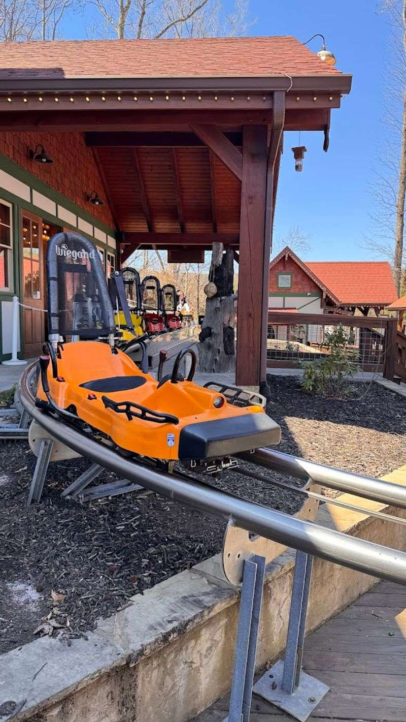 The Only Mountain Coaster Of Its Kind In Georgia