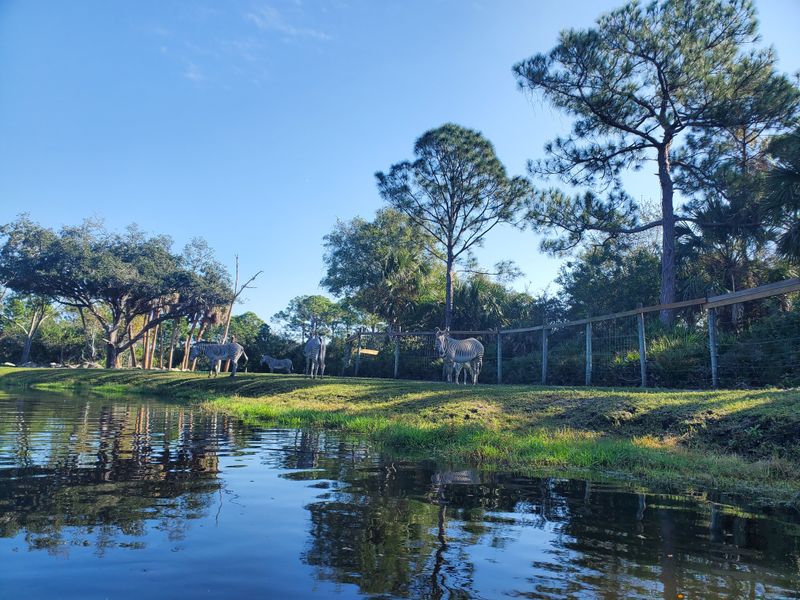 You Can Paddle Through Expedition Africa By Kayak