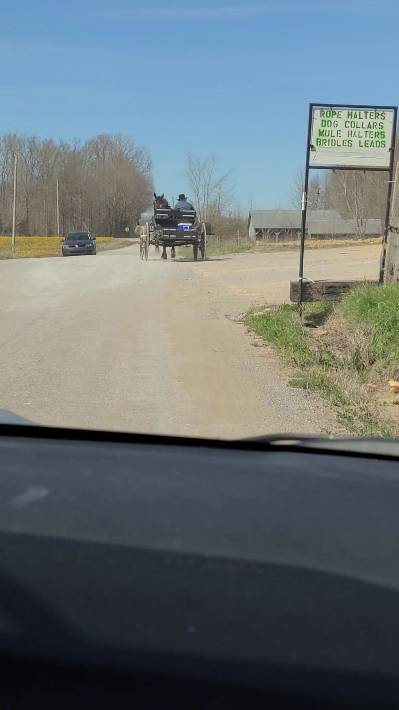 Morning On The Gravel Lanes