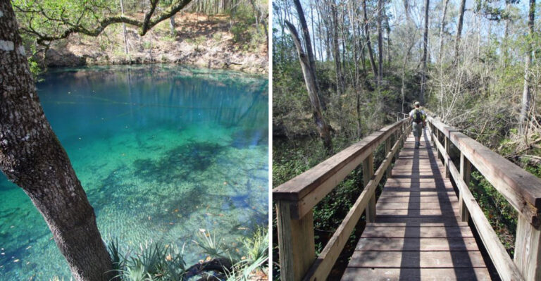 This Short Florida Trail Hides Sinkholes, Secret Caves, And Wild Scenery