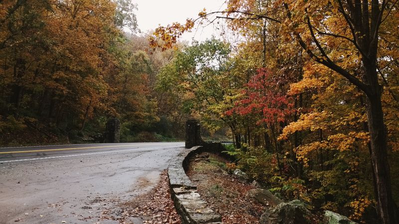 Where The Plateau Meets Your Pace