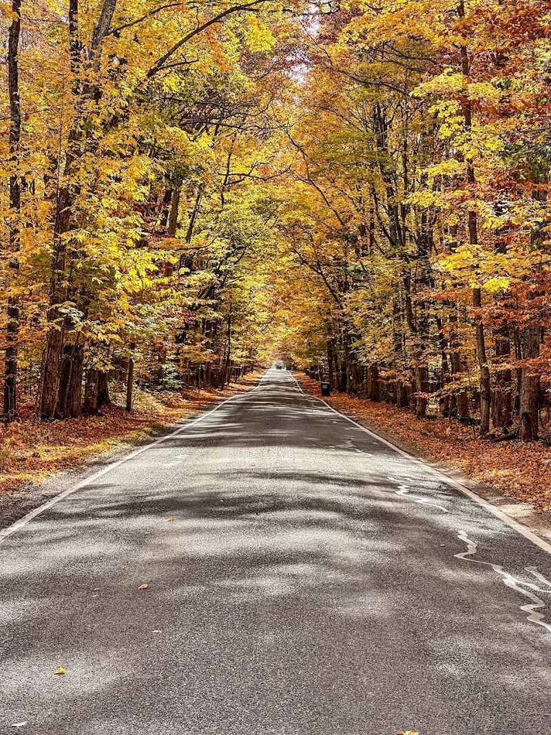 A Living Cathedral That'll Make Your Jaw Drop