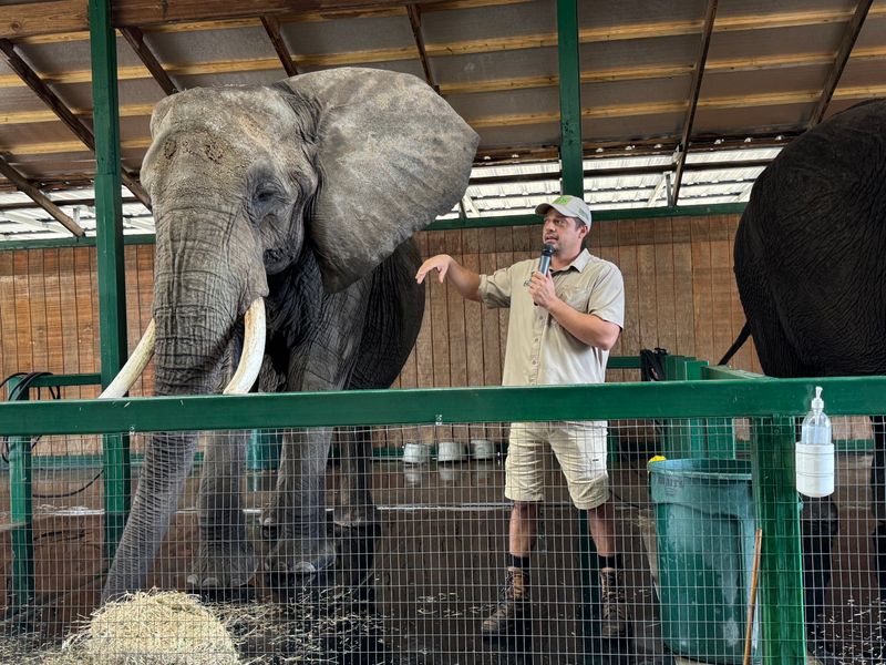 A Non-Profit Ranch Dedicated To Elephant Conservation