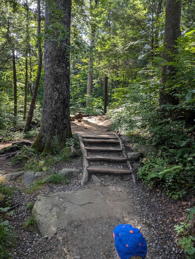 Wild Neighbors And Quiet Etiquette