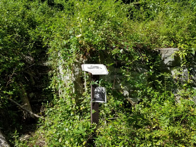 Quiet Etiquette For A Living Ruin