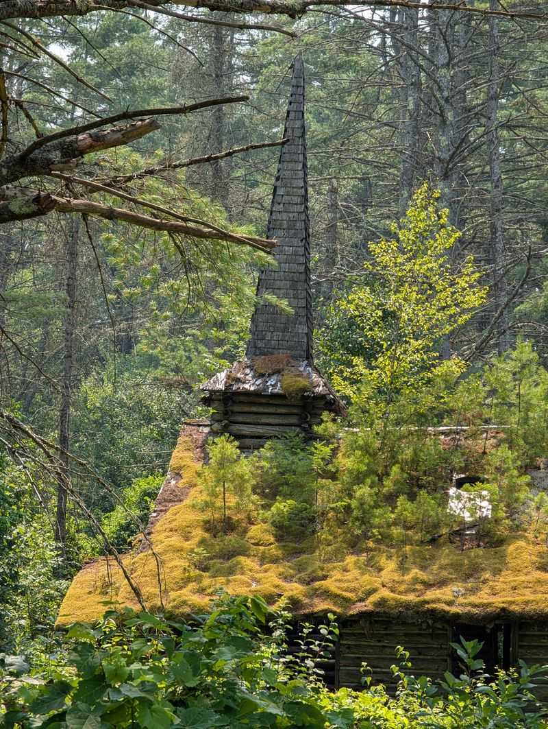 Postcards, Tickets, And The Quiet Of Paper