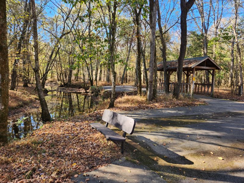 A Campground Built For Ease