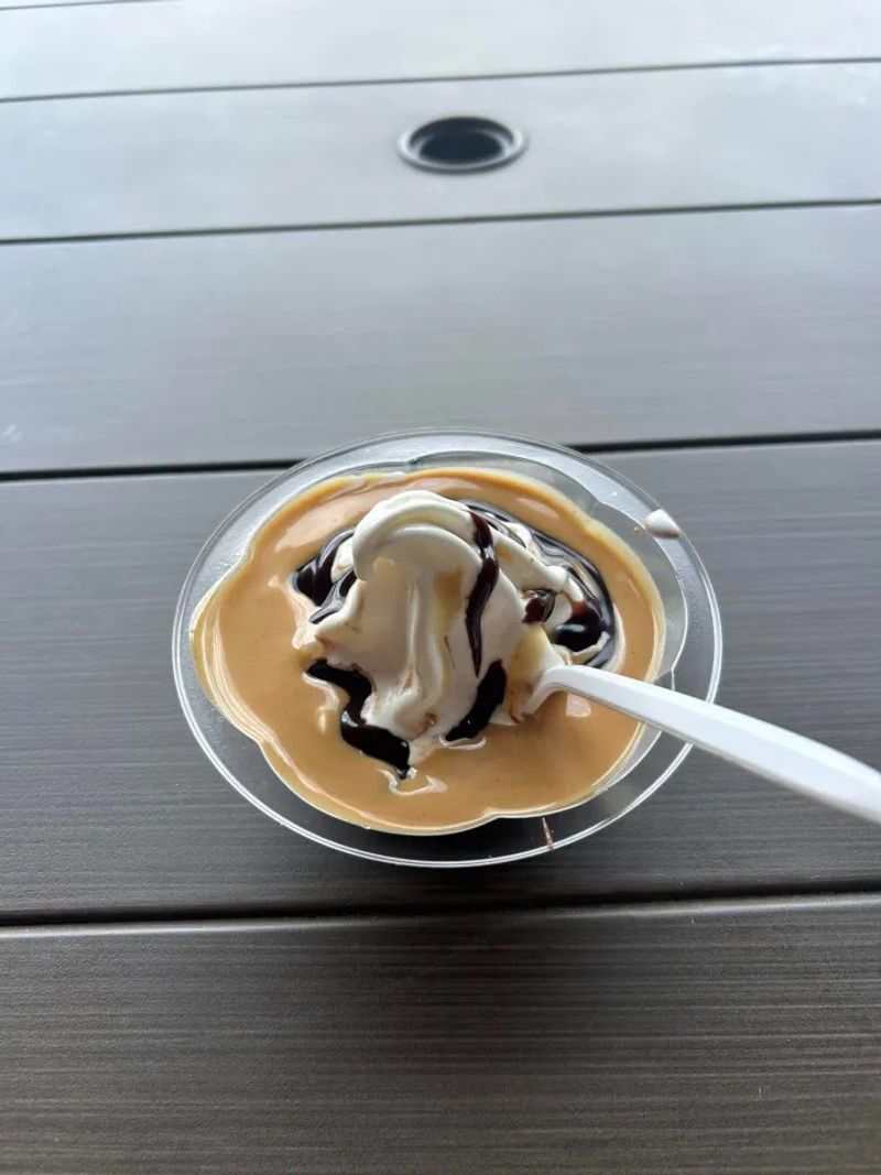 Ohio Ice Cream Truck Polar X-Press