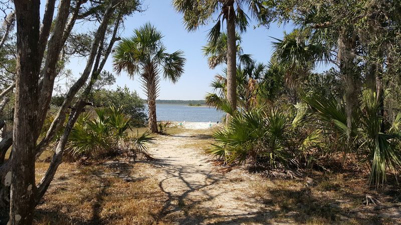 A Photographer's Dream: Capturing The Beauty Of Washington Oaks Gardens