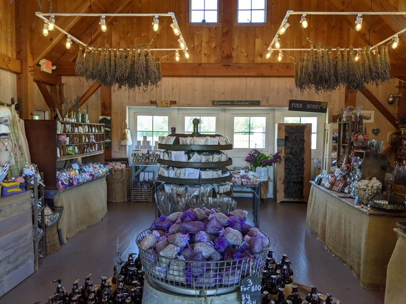 A Quiet Pause At The Gift Shop