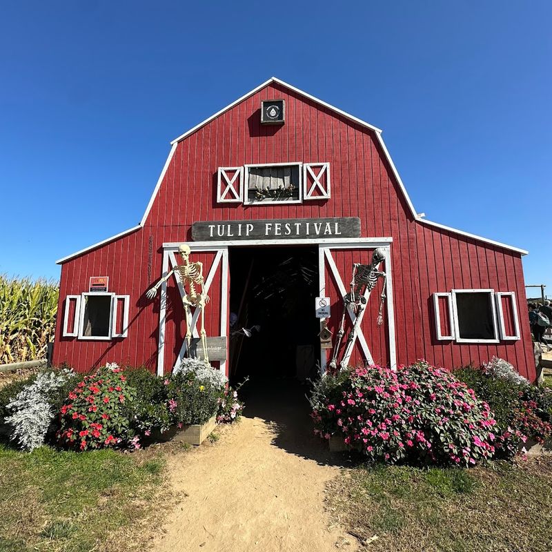 Practical Planning For Your Perfect Visit