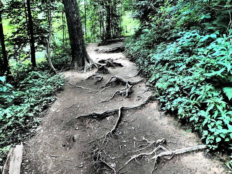 Practical Notes On Safety And Footing