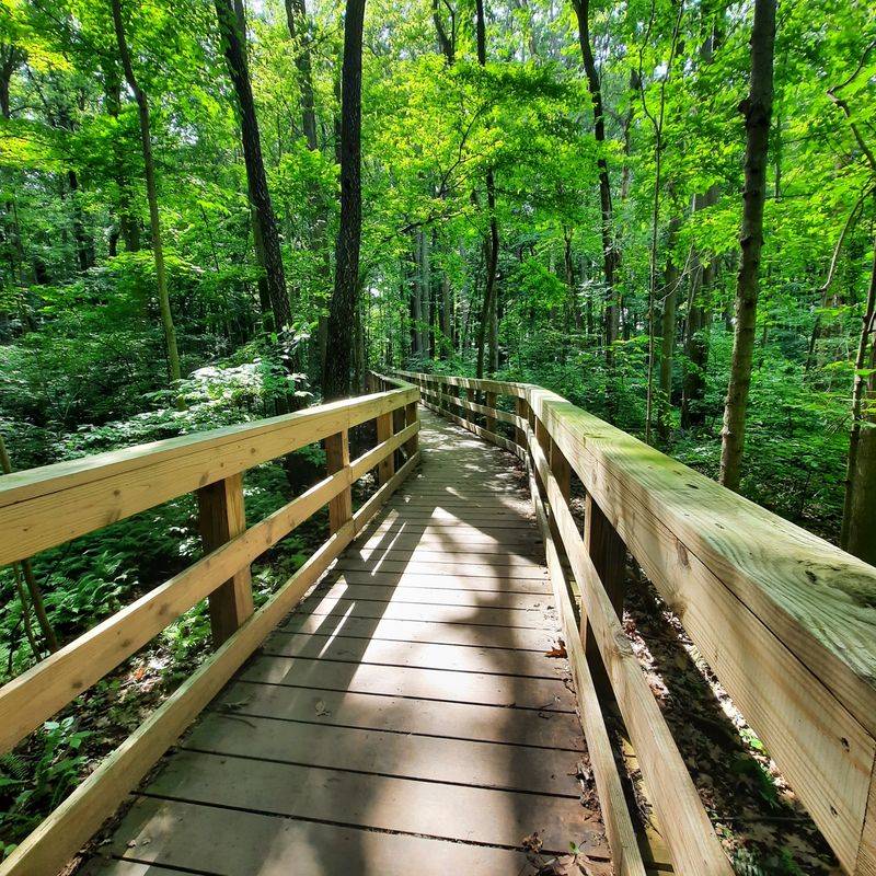 Accessibility Keeps The Experience Approachable