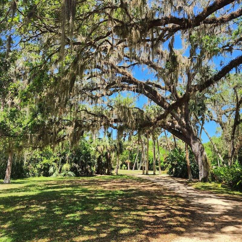 A Step Back In Time: The Rich History Of Washington Oaks Gardens