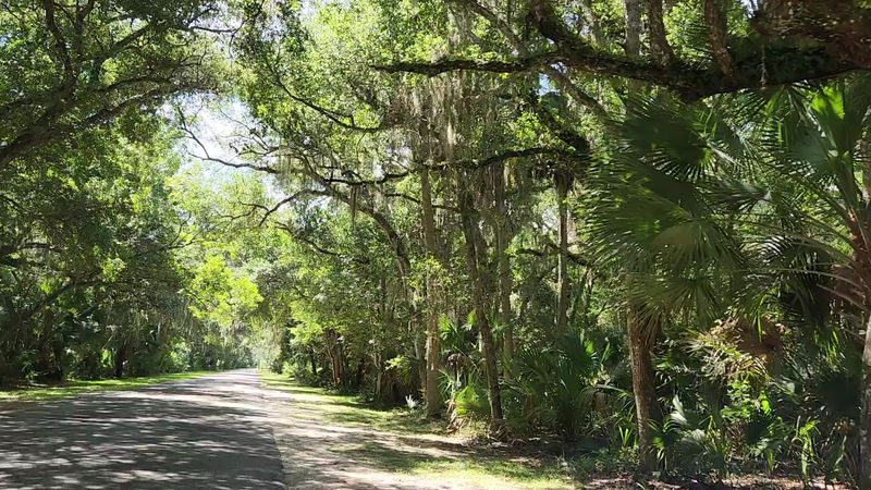 The Best Kept Secret Along Florida's Atlantic Coast: Washington Oaks Gardens