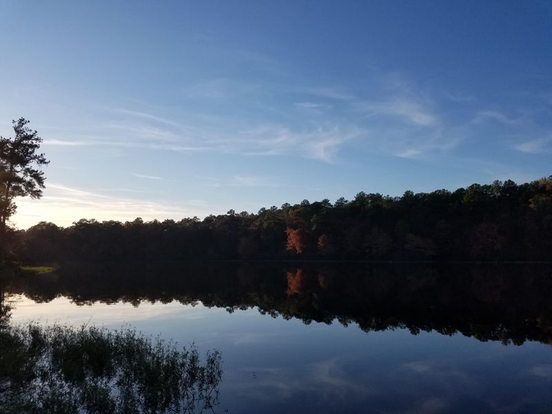 Morning And Evening Light Transform Familiar Scenes