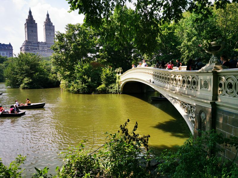 Bow Bridge And The Lake (Central Park)