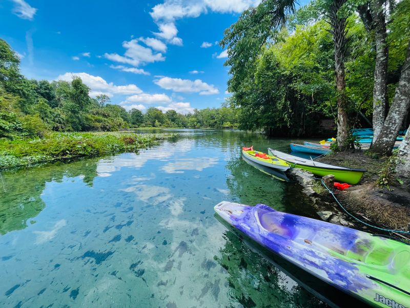 Wekiva Springs State Park