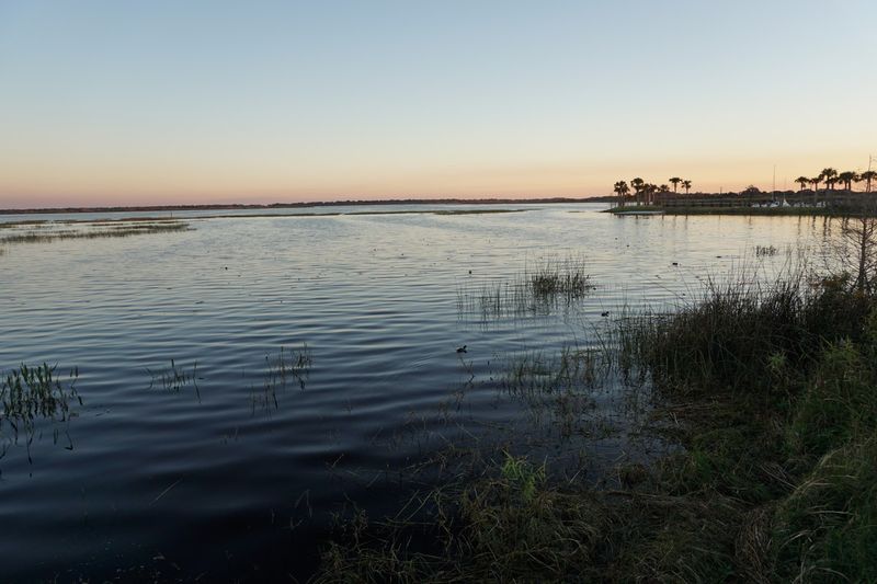 Lake Tohopekaliga (Lake Toho)