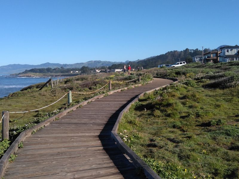 Fiscalini Ranch Preserve Protects Miles Of Coastal Trails