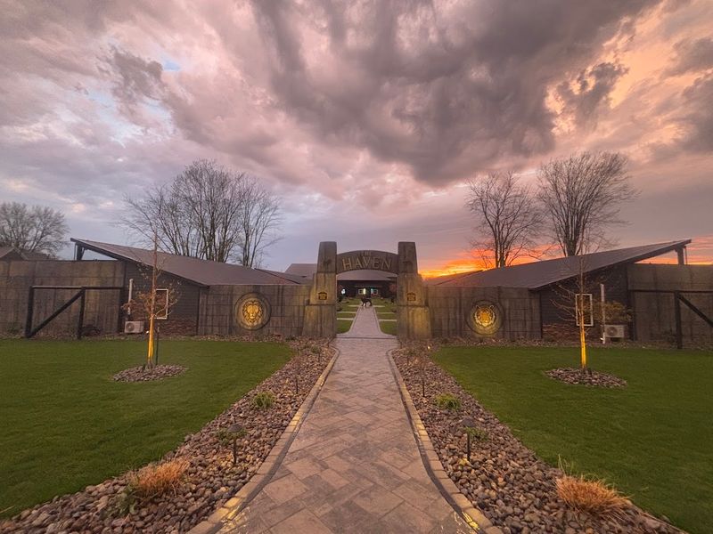 The Backstory Behind This Unexpected Sanctuary