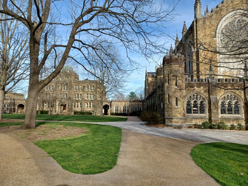 Gothic Stone And The University’s Living Heart