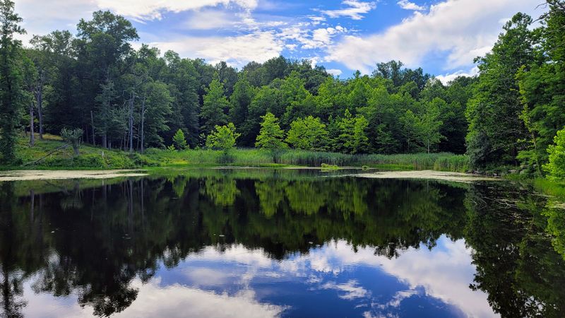 Springs, Brooks, And The Work Of Water