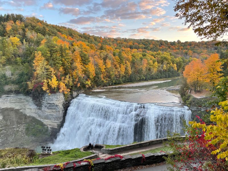 Autumn Color And The Measured Crowd