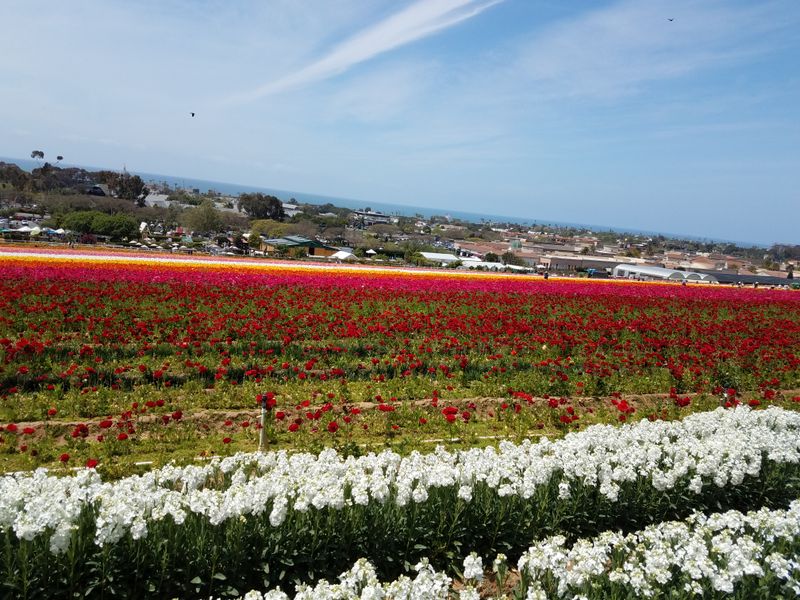 How The Surrounding Hills Make The Colours Feel Endless