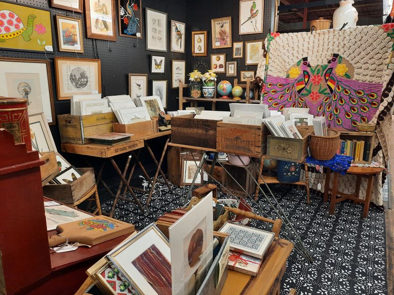 The Thrift Adventure That Keeps Visitors Returning