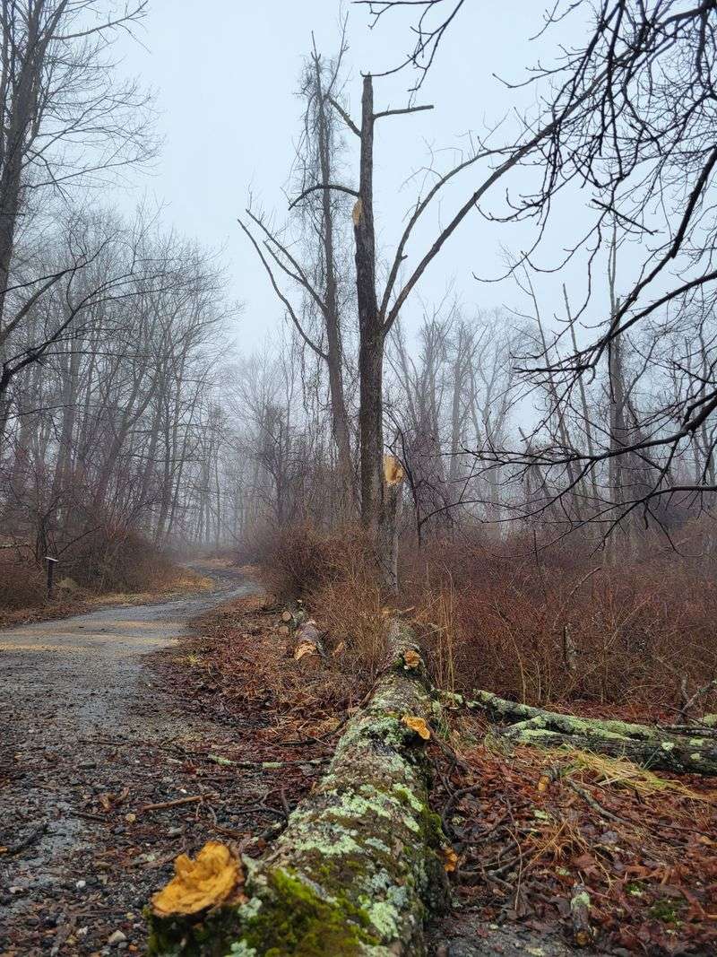 Finding The Old Roads Beneath Your Feet