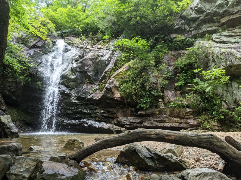 Water Features Break Up The Terrain With Natural Contrast