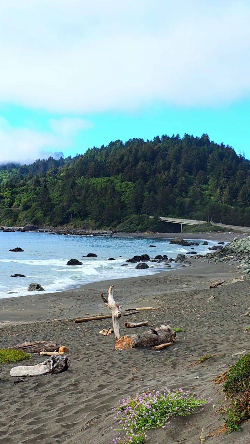 Accessed Via A Scenic Coastal Drive