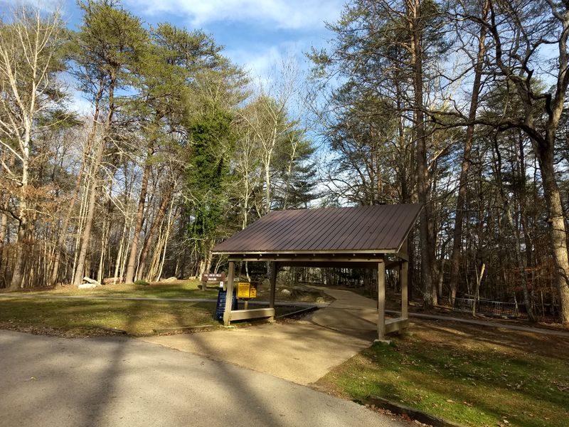 Camping Nights And Cabin Mornings