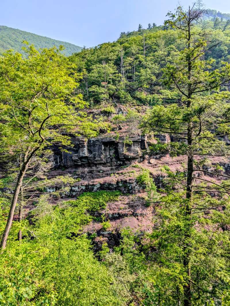 Where Wildlife Owns The Right Of Way