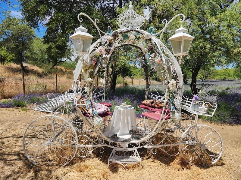 A Farm Boutique Showcases Lavender-Made Goods