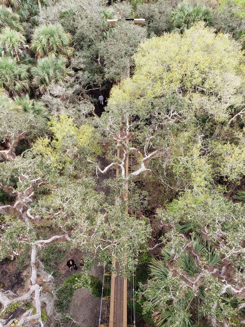 Wildlife Sightings Are Common Along The Trail