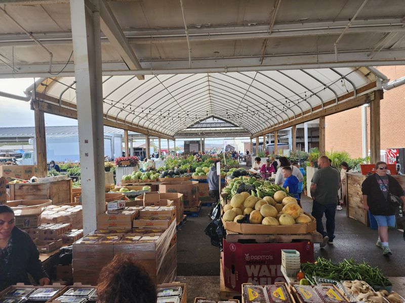 Specialty Shows And Seasonal Events Add Extra Layers Of Fun