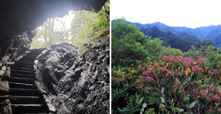You Haven’t Explored Tennessee Until You’ve Hiked This Stunning Trail With Million-Dollar Views