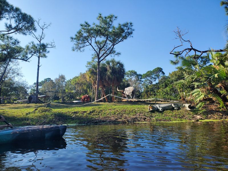 The Experience Feels Surprisingly Peaceful